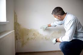 Professional Mold Inspection in Newark, TX